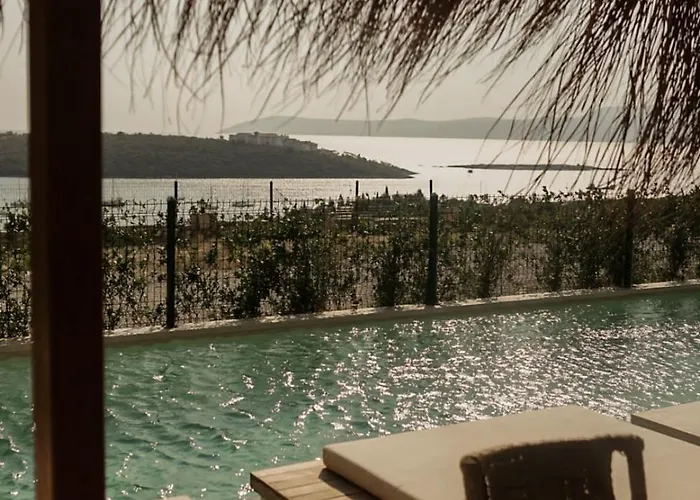 The Five - Adults Only *